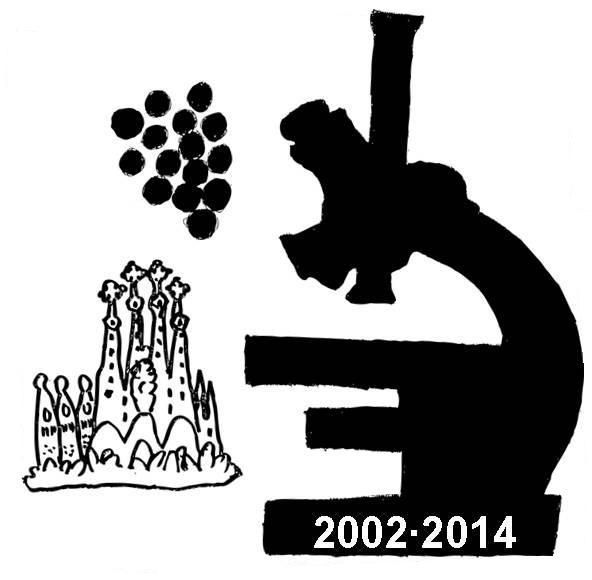 Logo_XIII_workshop_MRAMA