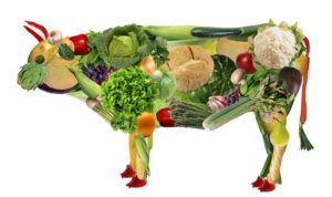 Vaca-vegana