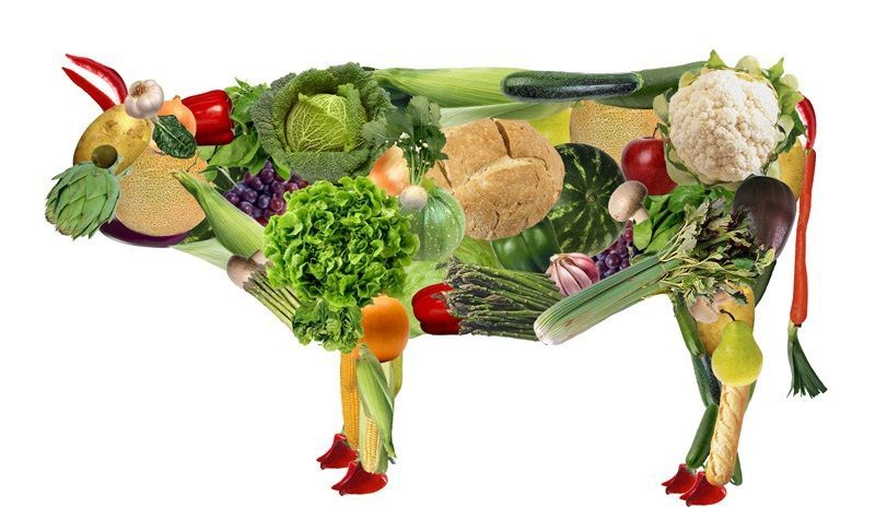 Vaca-vegana