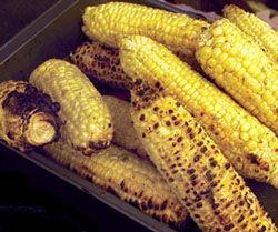 aflatoxinas maiz