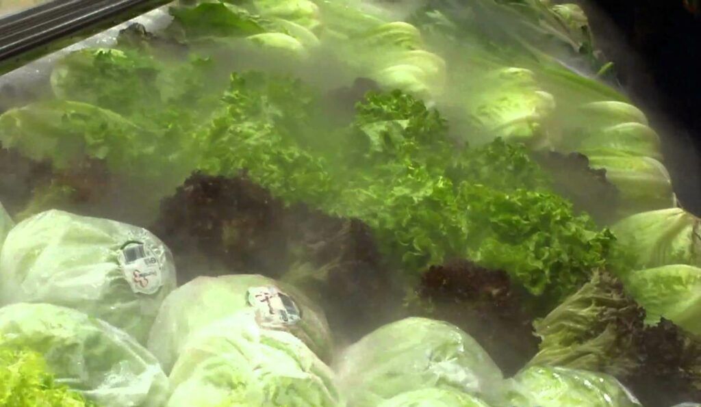 humi verduras