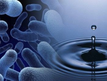 legionella