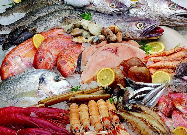 pescados26_10_10