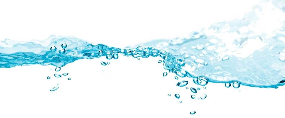 Legionella