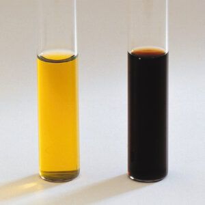 Half-fraser Broth COMPLETO