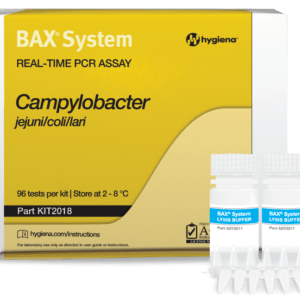 Bax System Q7 Real-Time Campylobacter