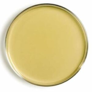 El Tryptone Soya Agar TLHTH TSA es un medio para aislamiento y cultivo de microorganismos con neutralizantes.