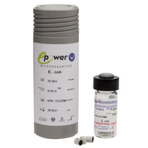 EPE3-CRM ESCHERICHIA COLI