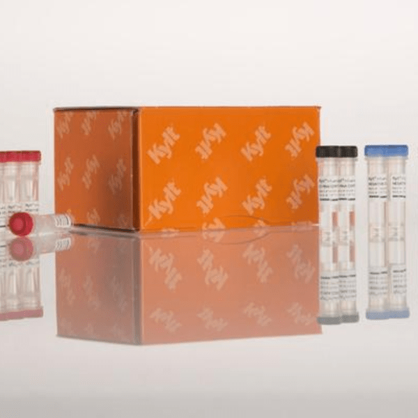 Los productos de detecciÃ³n PCR en tiempo real para el screening de Chlamydiaceae estÃ¡n diseÃ±ados para la detecciÃ³n precisa de todas las cepas de Chlamydiaceae en muestras de aves