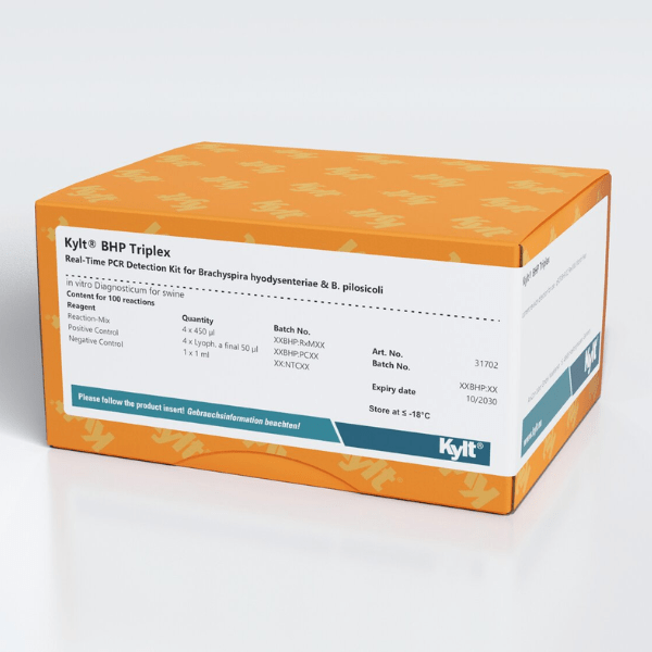 Este kit permite la detecciÃ³n especÃ­fica de Brachyspira hyodysenteriae