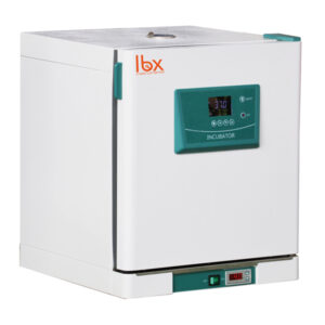 Incubadora de temperatura constante de alta precisión LBX INC65, 65L, cable EU