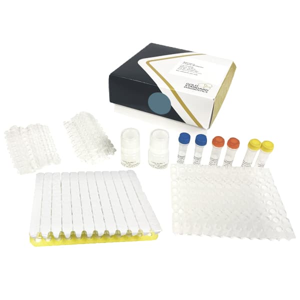 El BACGene Listeria monocytogenes es un kit con todos los componentes necesarios para detectar el microorganismo Listeria monocytogenes en muestras de origen animal y medioambiental. Para mÃ¡s informaciÃ³n contactar con Bioser en el 932264477