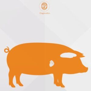 El Pork Brain Heart Infusion es una peptona que proviene de una mezcla hidrolizada de tejidos de corazón y cerebro porcino. Para más información contactar con Bioser en el 932264477