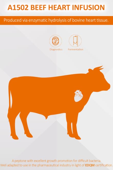 El Beef Heart Infusion es una peptona bovina producida por hidrÃ³lisis enzimÃ¡tica de corazones vacunos.Â Para mÃ¡s informaciÃ³n contactar con Bioser en el 932264477