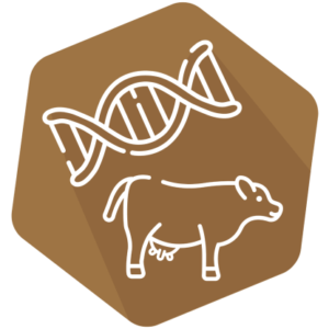 DNAnimal Screen Ruminant IPC