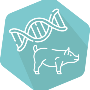 DNAnimal Ident Pork IPC